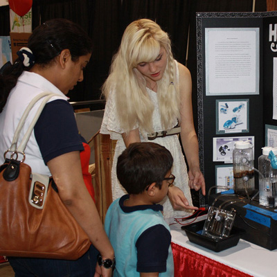 短信在线呼死你2023